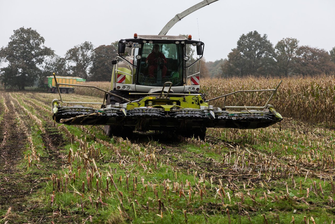 Bild 145 - Biogas am 21.10.12